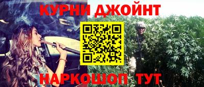 a pvp Камышлов