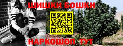 a pvp Камышлов