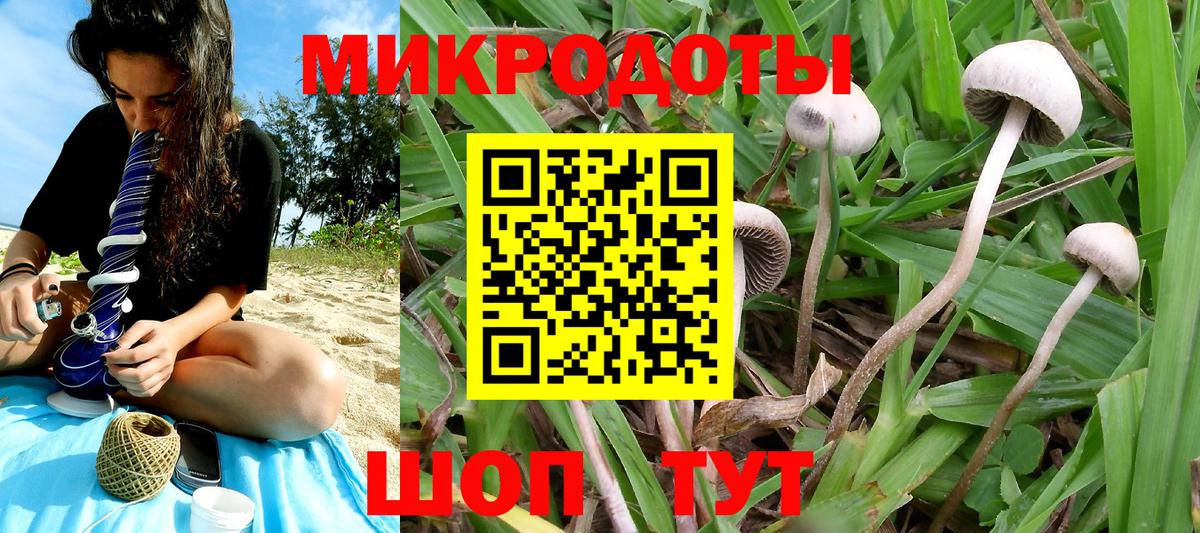 Галлюциногенные грибы MAGIC MUSHROOMS Коряжма